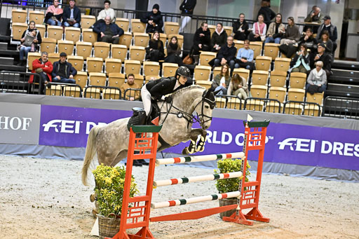  | 13022026 HGW Stil M _062 