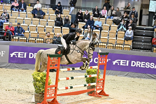  | 13022026 HGW Stil M _063 