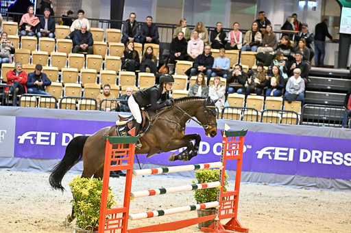  | 13022026 HGW Stil M _073 