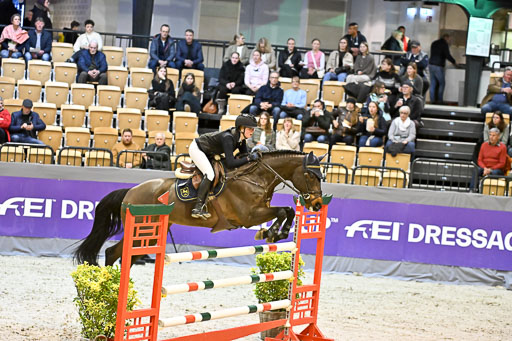  | 13022026 HGW Stil M _074 