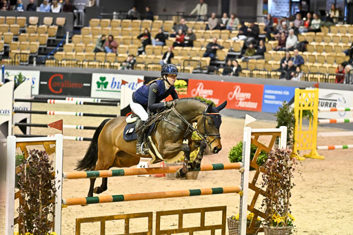  | 13022026 HGW Stil M _081 