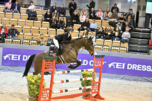  | 13022026 HGW Stil M _087 