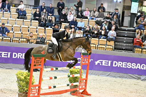  | 13022026 HGW Stil M _088 