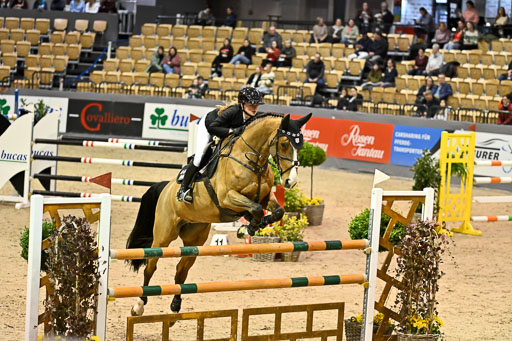  | 13022026 HGW Stil M _094 