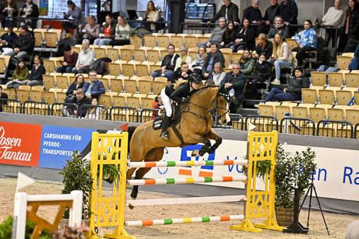  | 13022026 HGW Stil M _097 