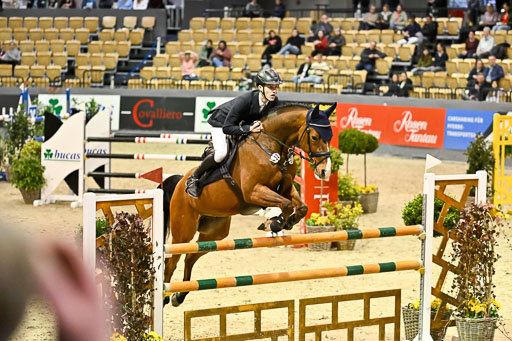  | 13022026 HGW Stil M _102 