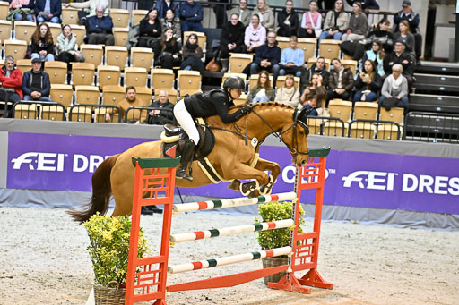  | 13022026 HGW Stil M _109 