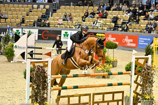  | 13022026 HGW Stil M _110 