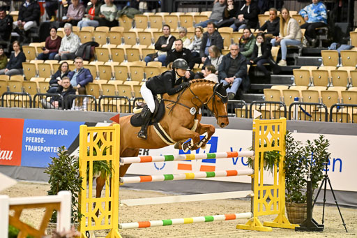  | 13022026 HGW Stil M _114 