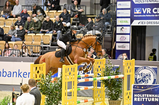  | 13022026 HGW Stil M _115 