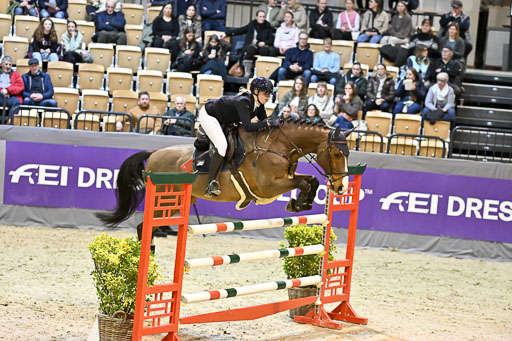  | 13022026 HGW Stil M _118 