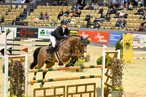  | 13022026 HGW Stil M _120 