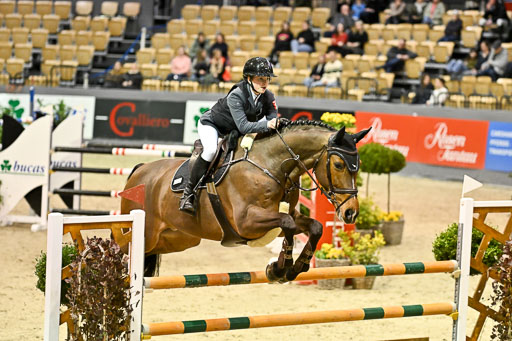  | 13022026 HGW Stil M _127 