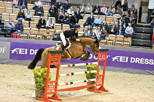  | 13022026 HGW Stil M _134 