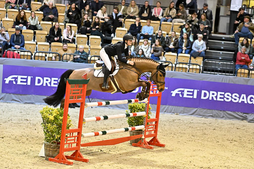  | 13022026 HGW Stil M _135 