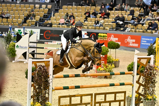  | 13022026 HGW Stil M _136 