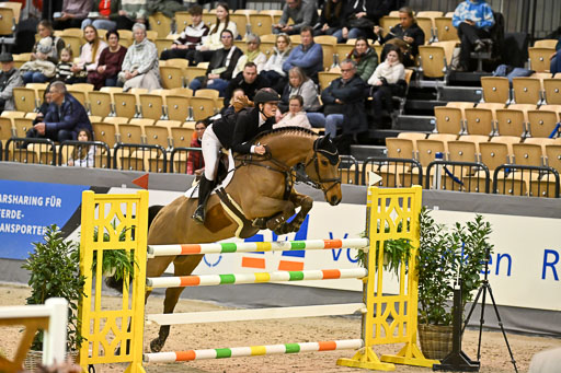  | 13022026 HGW Stil M _140 