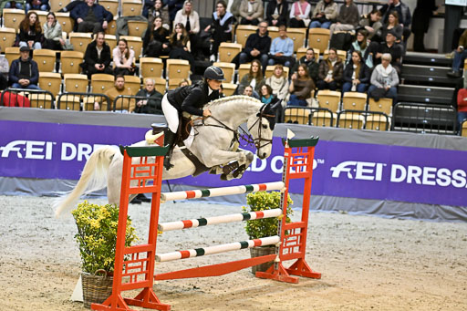  | 13022026 HGW Stil M _143 