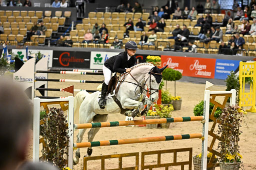  | 13022026 HGW Stil M _144 