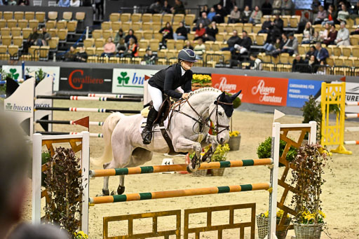  | 13022026 HGW Stil M _145 