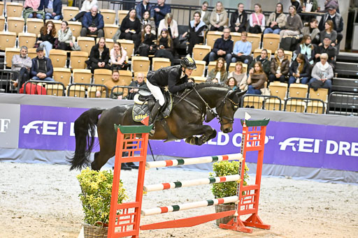  | 13022026 HGW Stil M _152 