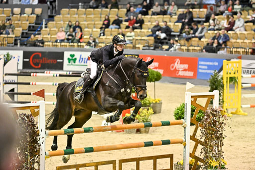  | 13022026 HGW Stil M _154 