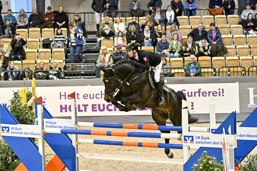  | 13022026 HGW Stil M _155 