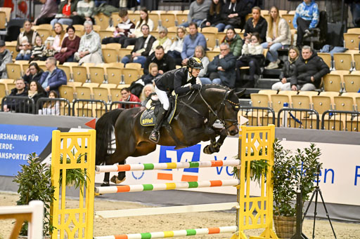  | 13022026 HGW Stil M _158 