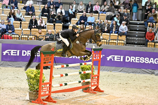  | 13022026 HGW Stil M _162 