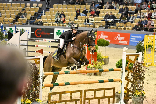  | 13022026 HGW Stil M _163 