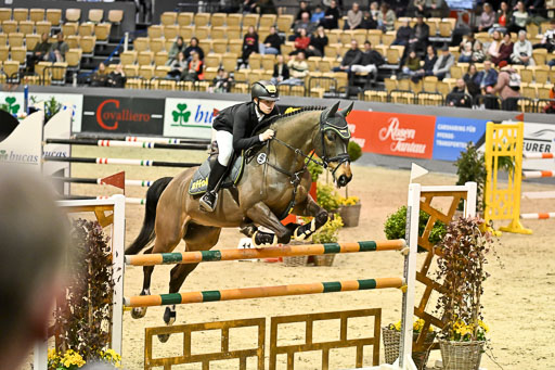  | 13022026 HGW Stil M _164 