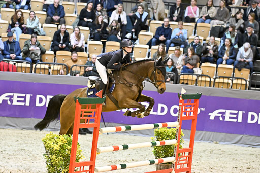  | 13022026 HGW Stil M _172 