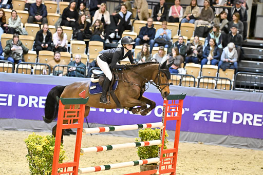  | 13022026 HGW Stil M _173 