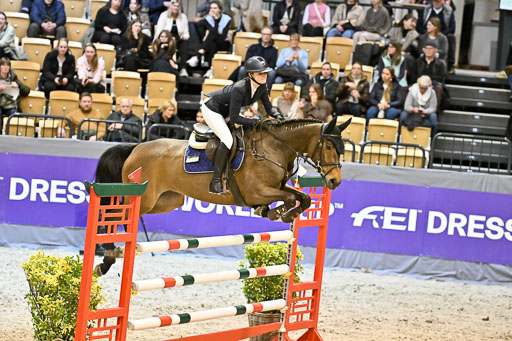  | 13022026 HGW Stil M _174 