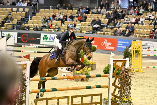  | 13022026 HGW Stil M _175 