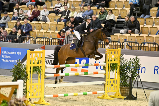  | 13022026 HGW Stil M _178 