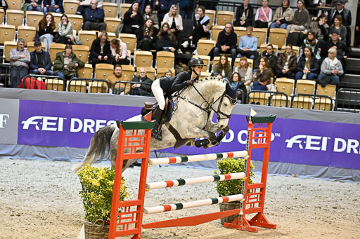  | 13022026 HGW Stil M _181 