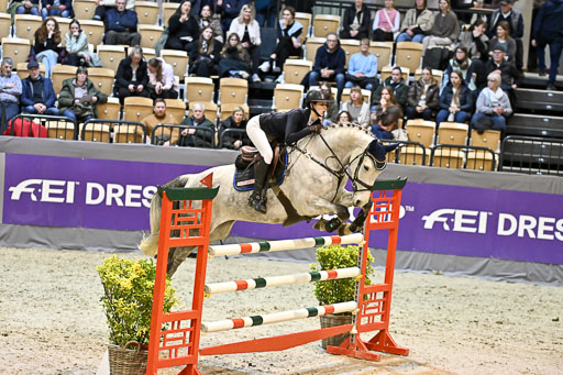  | 13022026 HGW Stil M _182 