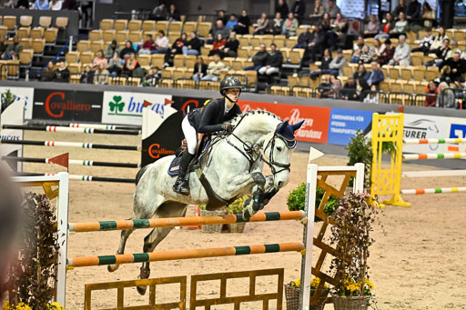  | 13022026 HGW Stil M _184 