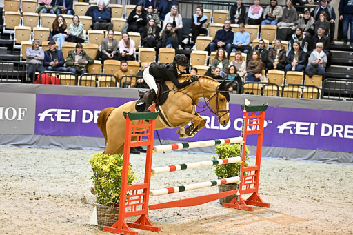  | 13022026 HGW Stil M _195 