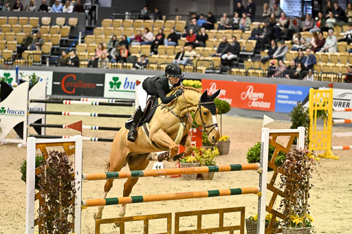  | 13022026 HGW Stil M _196 