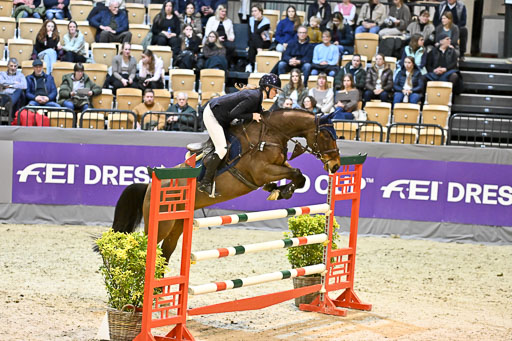  | 13022026 HGW Stil M _204 