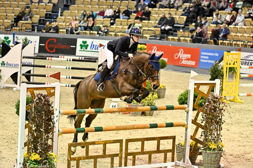  | 13022026 HGW Stil M _205 