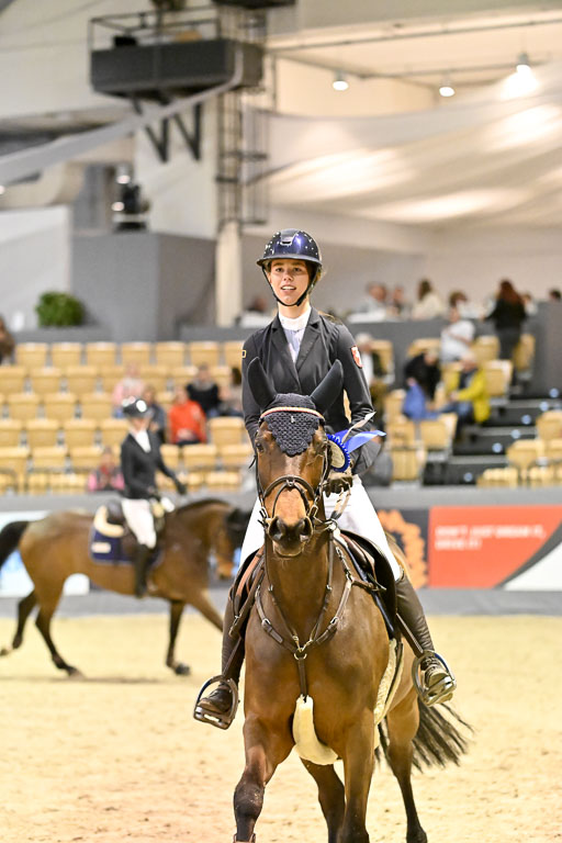  | 13022026 HGW Stil M _211 