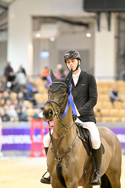  | 13022026 HGW Stil M _212 