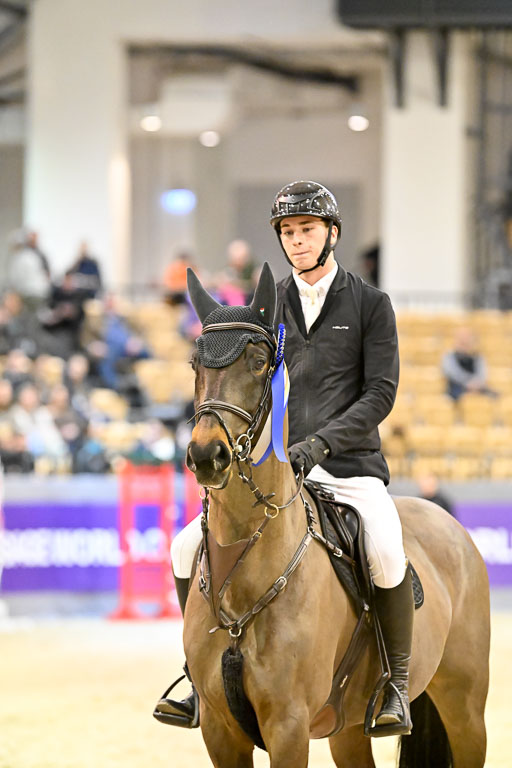  | 13022026 HGW Stil M _213 