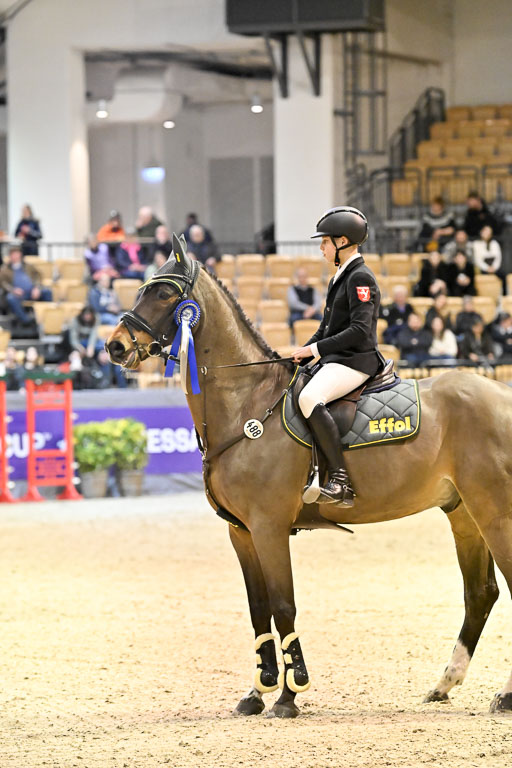  | 13022026 HGW Stil M _219 