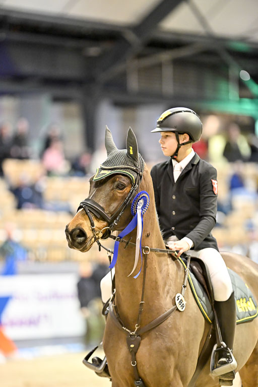  | 13022026 HGW Stil M _222 