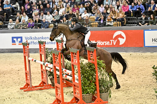  | 14022026 GHW Pferdewechsel _004 