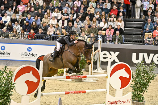  | 14022026 GHW Pferdewechsel _006 